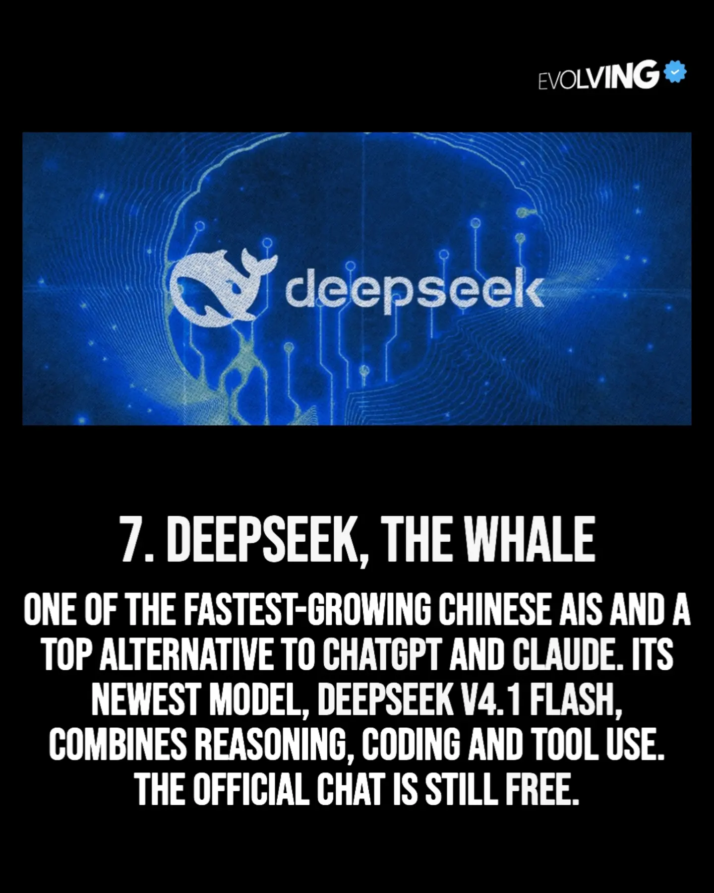 Supplied reference image for DeepSeek-V4.1-Flash
