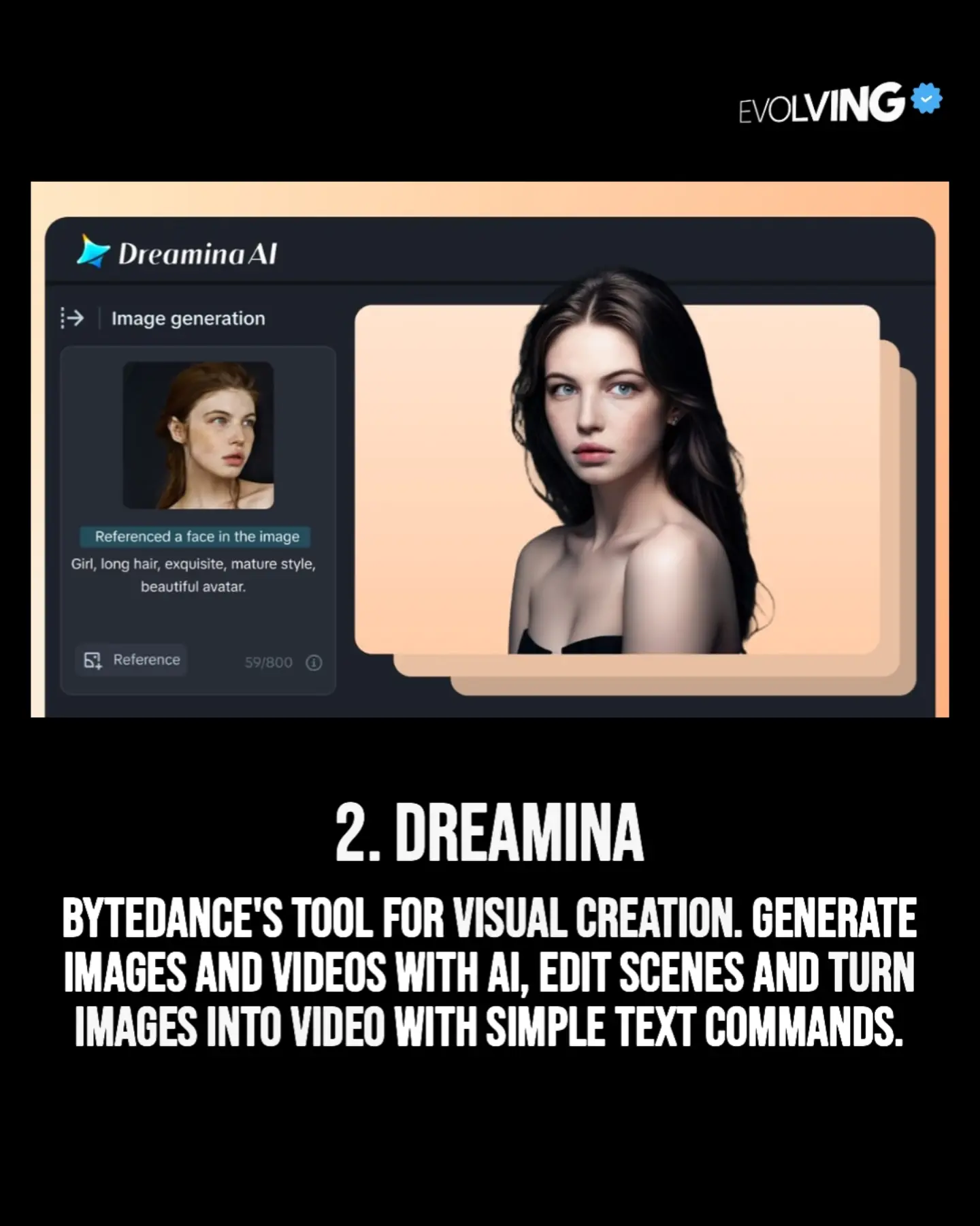 Supplied reference image for Dreamina